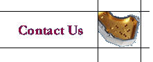 Contact Info